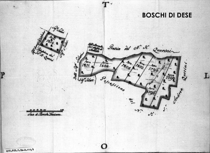 Rilievo di un boschetto a Dese con le indicazioni selvicolturali programmate