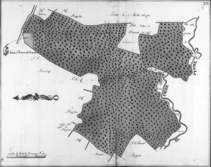Planimetria del XVIII°sec. di uno dei boschi prossimi al fiume Dese.