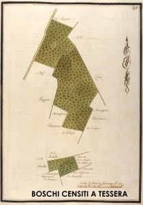 Rilievo cartografico di tipo proto-catastale (sec. XVIII°) di alcuni boschi censiti a Tessera