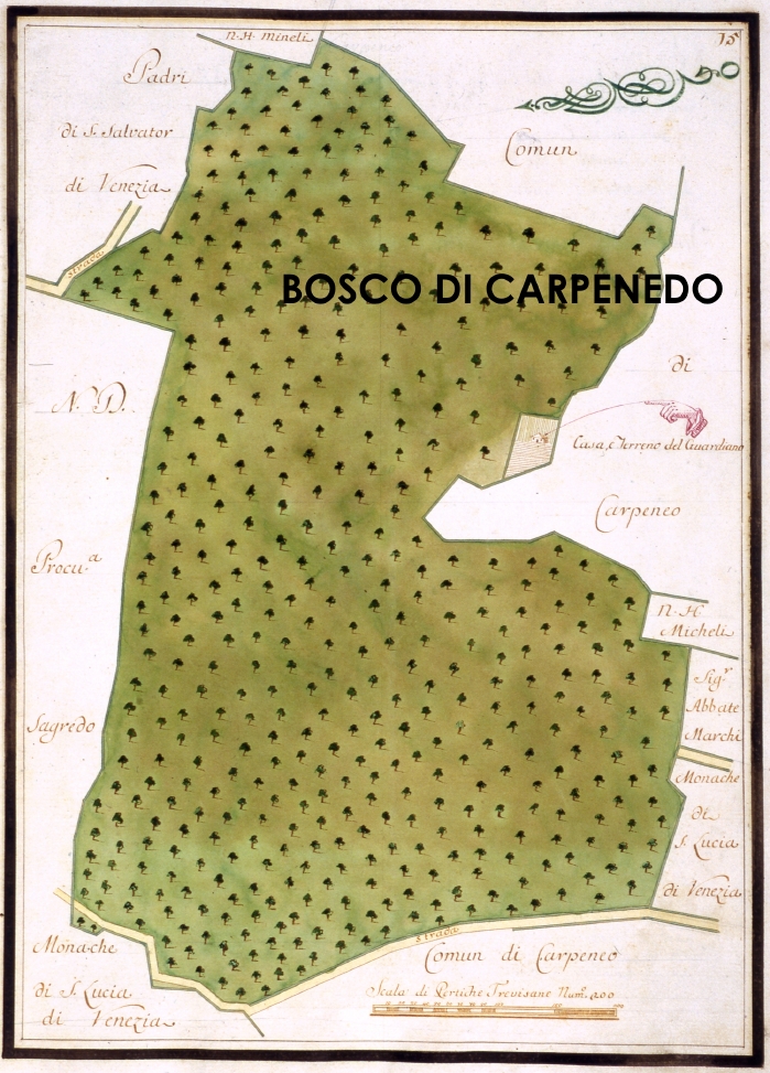 Il Bosco di Carpendo in un rilievo del XVIII° sec.