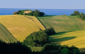 In viaggio verso il Piceno: cielo mare e colline