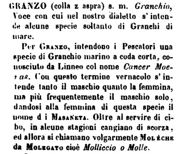 Definizione del granzo o moèca dal Boerio dizionario  veneziano