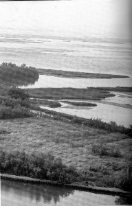 Foto d'epoca di un angolo agricolo di Torcello